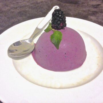 plate with piece of paleo blackberry and coconut condensed milk ice cream with one blackberry on top and spoon in background