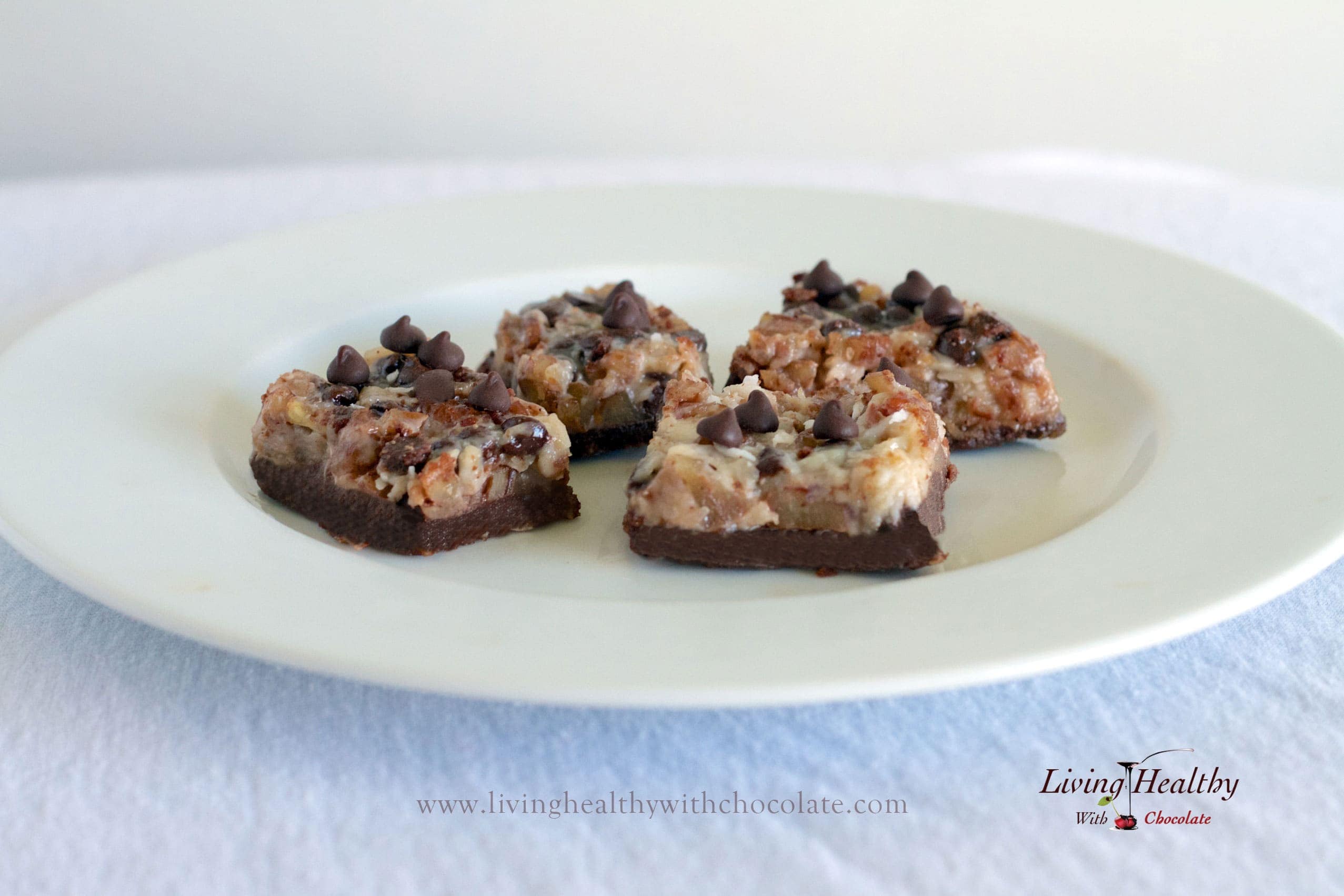 plate of paleo chocolate bites topped with chocolate chips