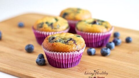 Coconut Flour Blueberry Muffins Paleo Low Carb