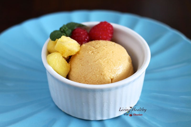 close up of bowl of paleo coconut sorbet with small pieces of fruit inside bowl