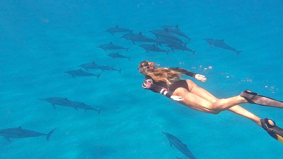 Adriana Harlan swimming with dolphins in Hawaii.